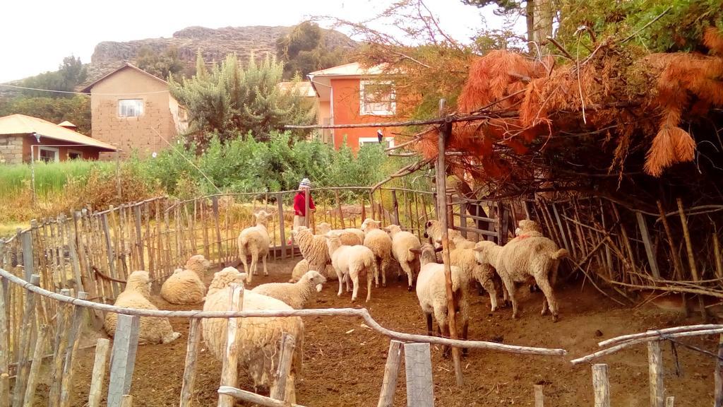 Casa Titicaca Amantani Hotell Ocosuyo Eksteriør bilde